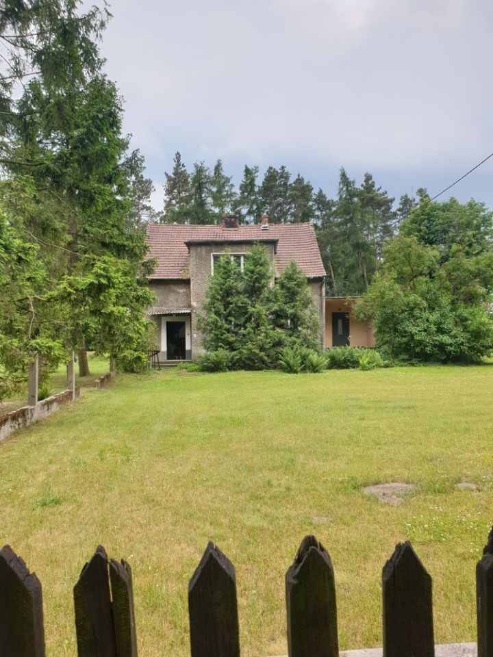 Działka budowlana Kalinowice. Zdjęcie 6