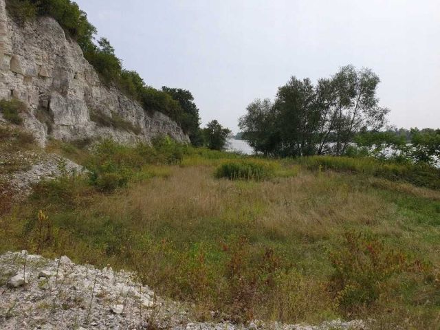 Działka inwestycyjna Opoczka Mała. Zdjęcie 1