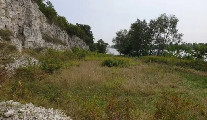 Działka inwestycyjna Opoczka Mała