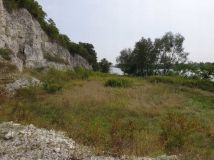 Działka inwestycyjna Opoczka Mała