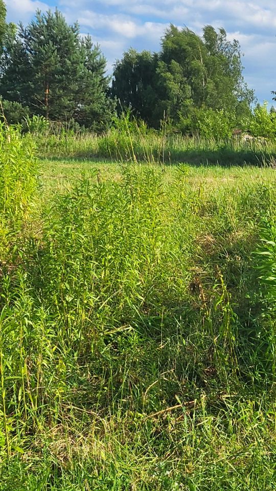 Działka rolno-budowlana Krzykawka. Zdjęcie 3