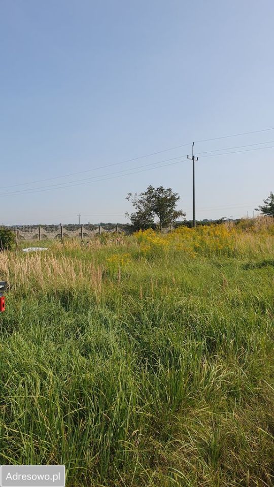 Działka inwestycyjna Raciborowice, ul. Kanonicza. Zdjęcie 4
