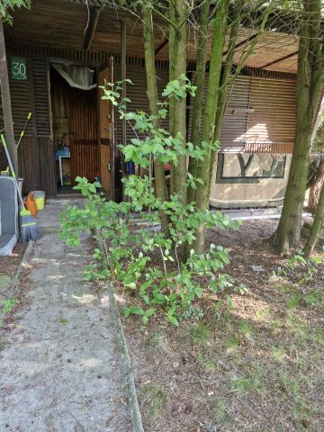 Działka rod Zamość, ul. Lipska. Zdjęcie 1