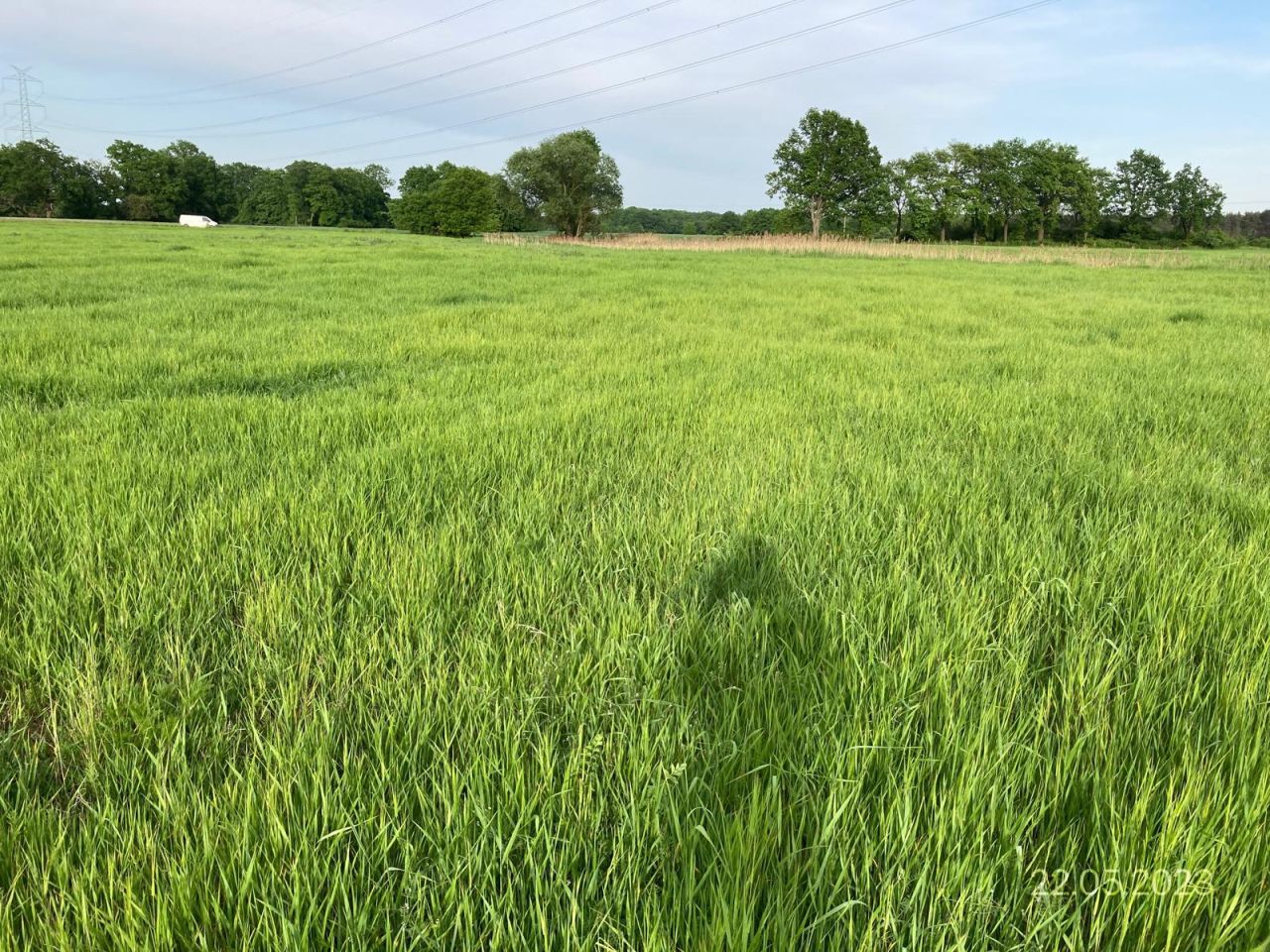 Działka rolna Brodno. Zdjęcie 2