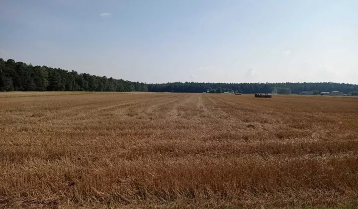 Działka rolna Srebrna