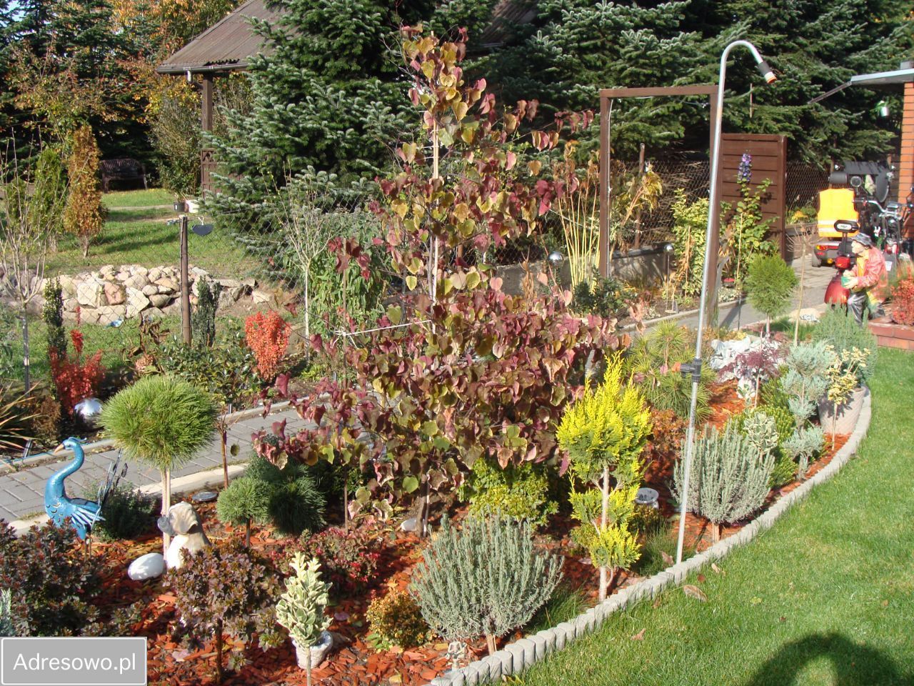 Działka rod Poznań Jeżyce, ul. Bukowska. Zdjęcie 10