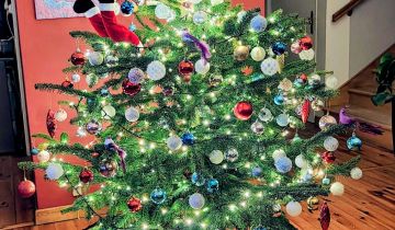 dom wolnostojący, 5 pokoi Świdnik Mały