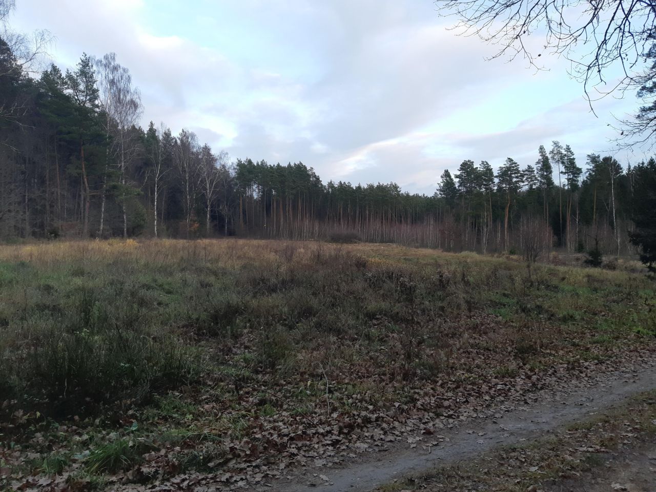 Działka rolno-budowlana Niewodnica Nargilewska-Kolonia