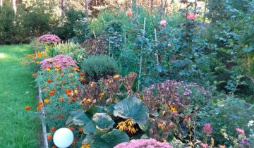 Działka Wólka Husińska