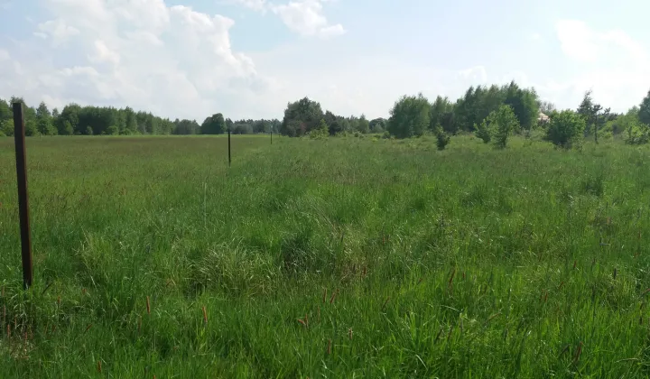 Działka budowlana Rydzynki, ul. Słowicza