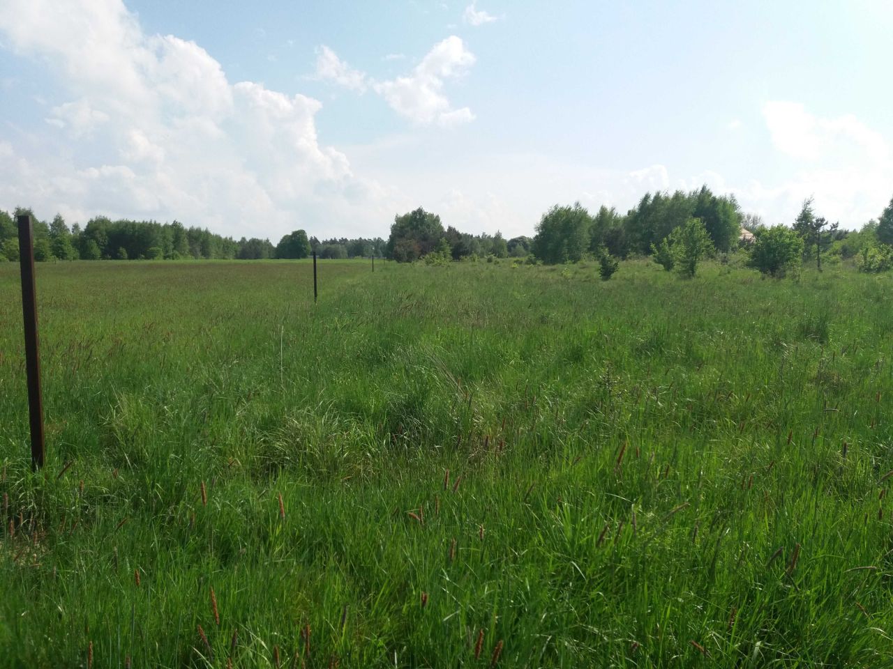 Działka budowlana Rydzynki, ul. Słowicza. Zdjęcie 1