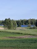Działka rolno-budowlana Siedliska. Zdjęcie 3