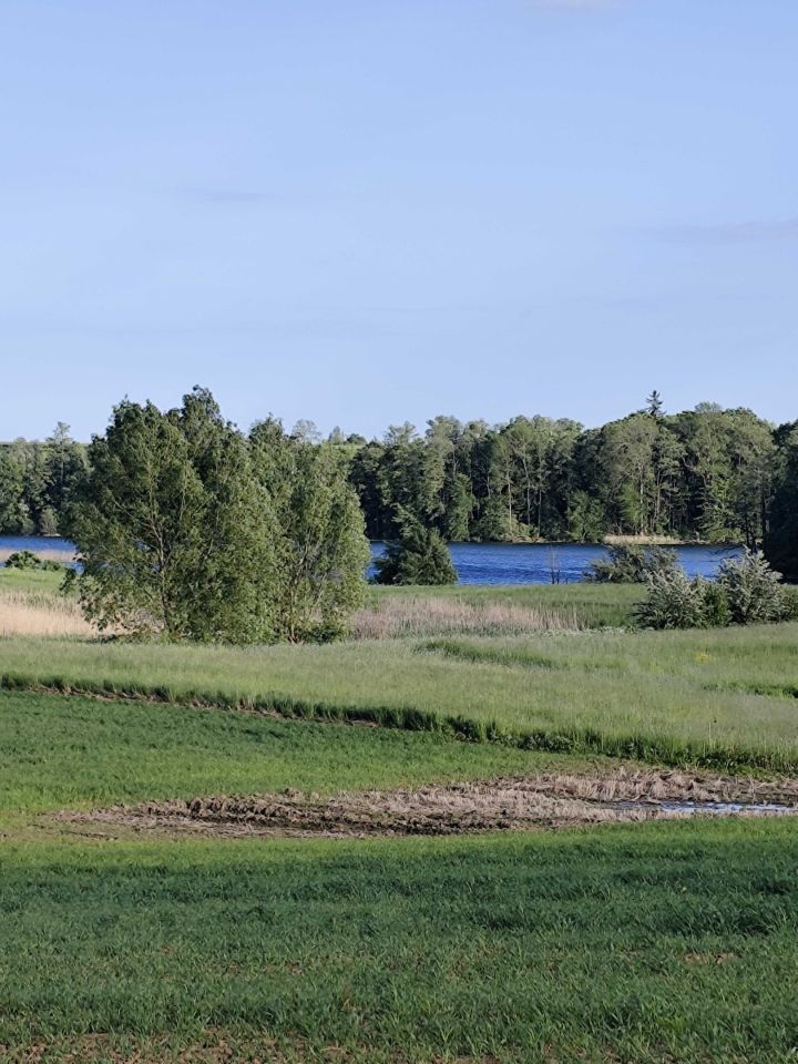 Działka rolno-budowlana Siedliska. Zdjęcie 4