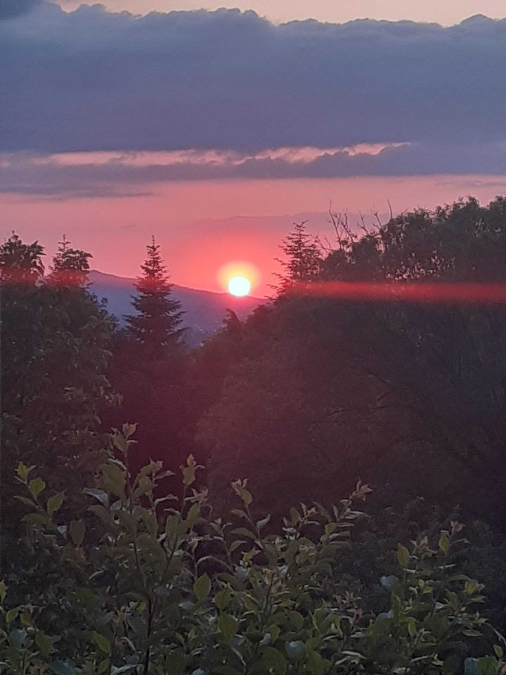 Działka budowlana Żywiec. Zdjęcie 4