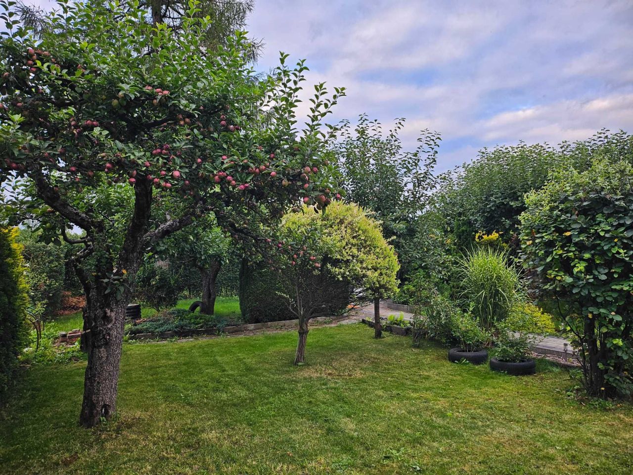 Działka rod Bielsko-Biała Wapienica. Zdjęcie 3