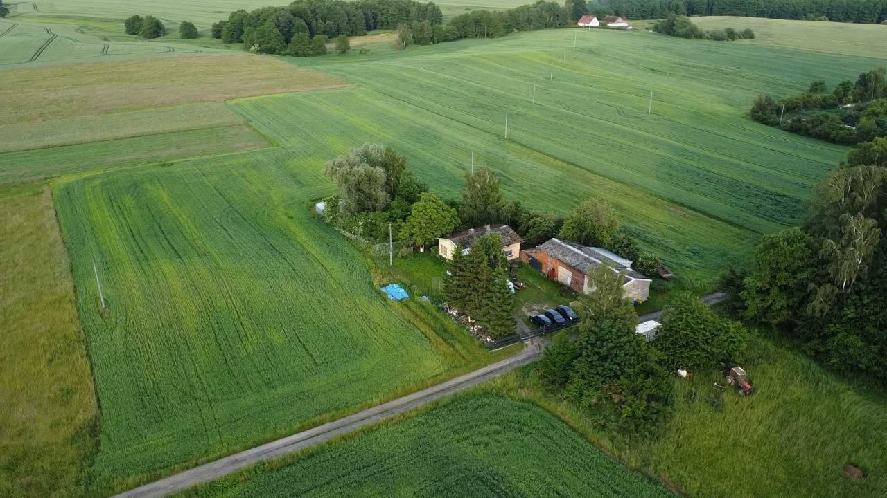 Działka rolna Czernin. Zdjęcie 4