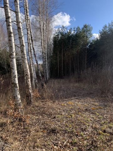 Działka rolno-budowlana Zakole-Wiktorowo, ul. Akacjowa. Zdjęcie 1