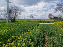 Działka rolno-budowlana Nagórzanki. Zdjęcie 3