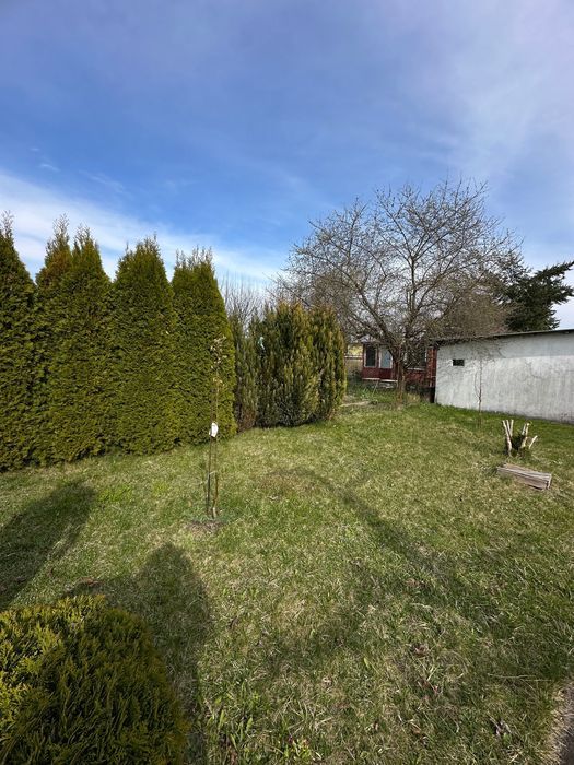 Działka rod Lubin. Zdjęcie 6