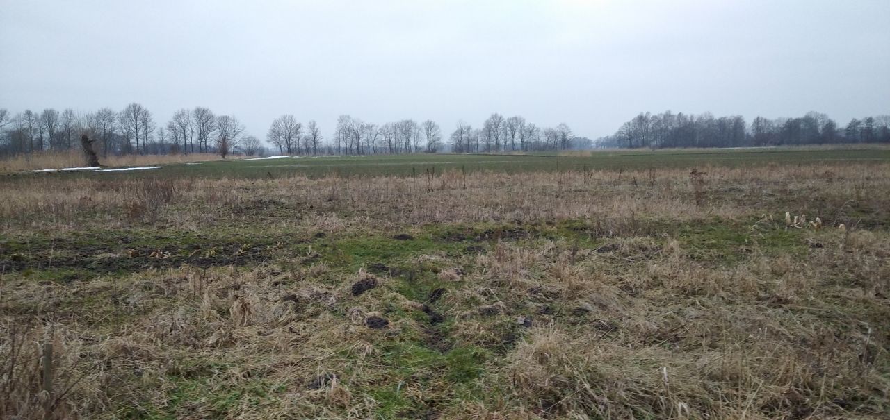 Działka rolno-budowlana Błotnik, ul. Żuławska. Zdjęcie 7