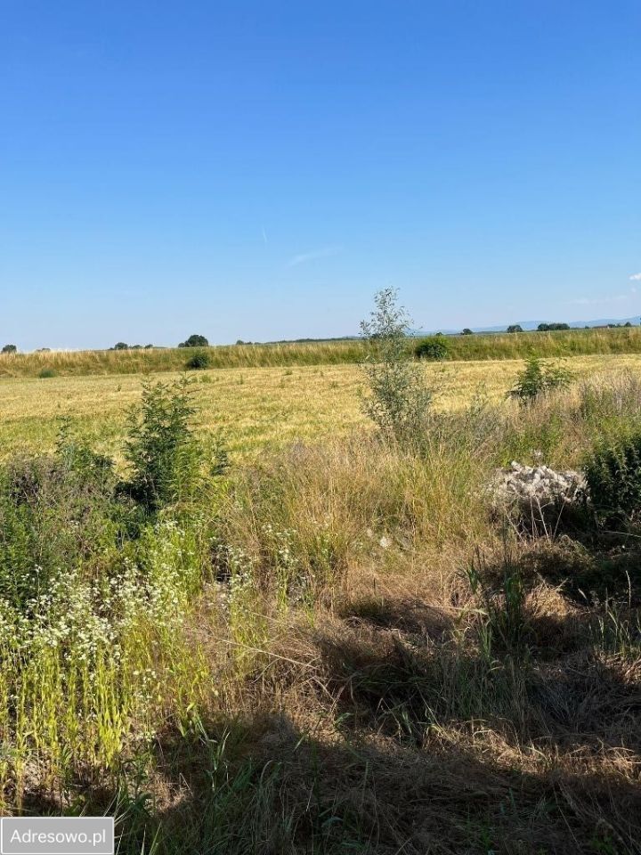 Działka budowlana Otmuchów, ul. Mostowa. Zdjęcie 8