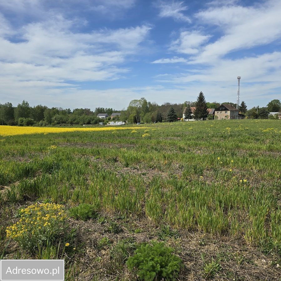 Działka budowlana Trójca. Zdjęcie 3