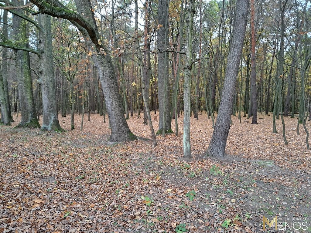 Działka budowlana Borowina. Zdjęcie 2