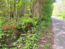 Działka rolna Paproty. Zdjęcie 4