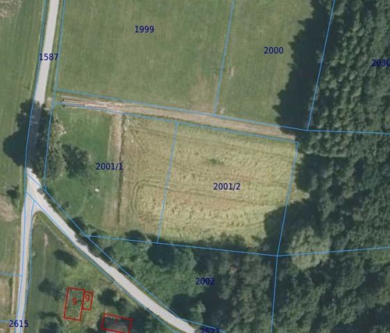 Działka rolno-budowlana Szerzyny Podlesie. Zdjęcie 1