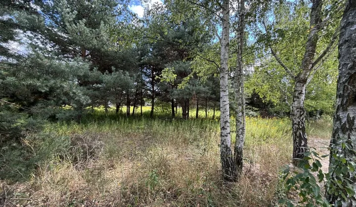 Działka budowlana Miłoszyce, ul. Azaliowa