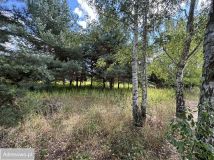 Działka budowlana Miłoszyce, ul. Azaliowa