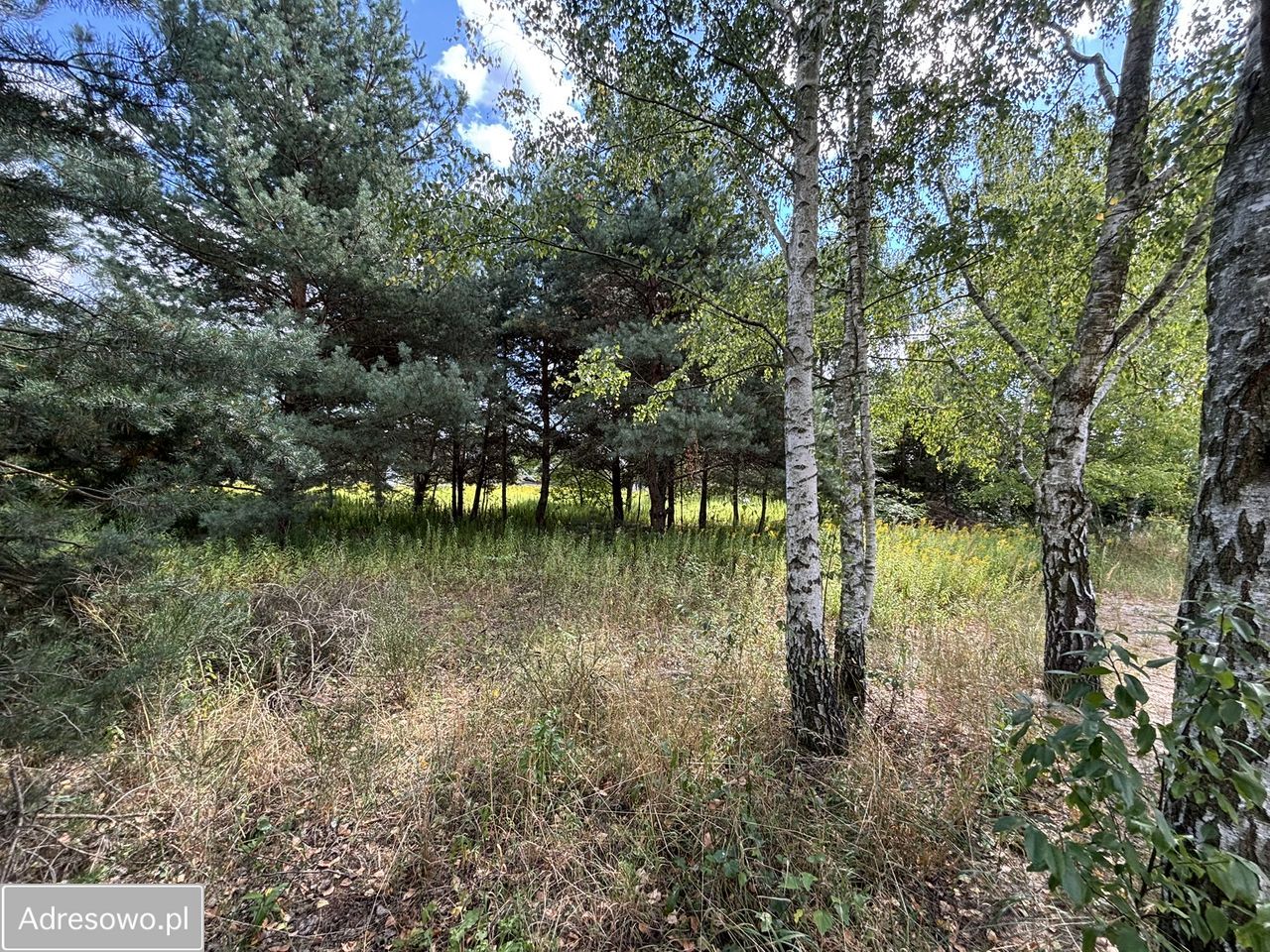 Działka budowlana Miłoszyce, ul. Azaliowa