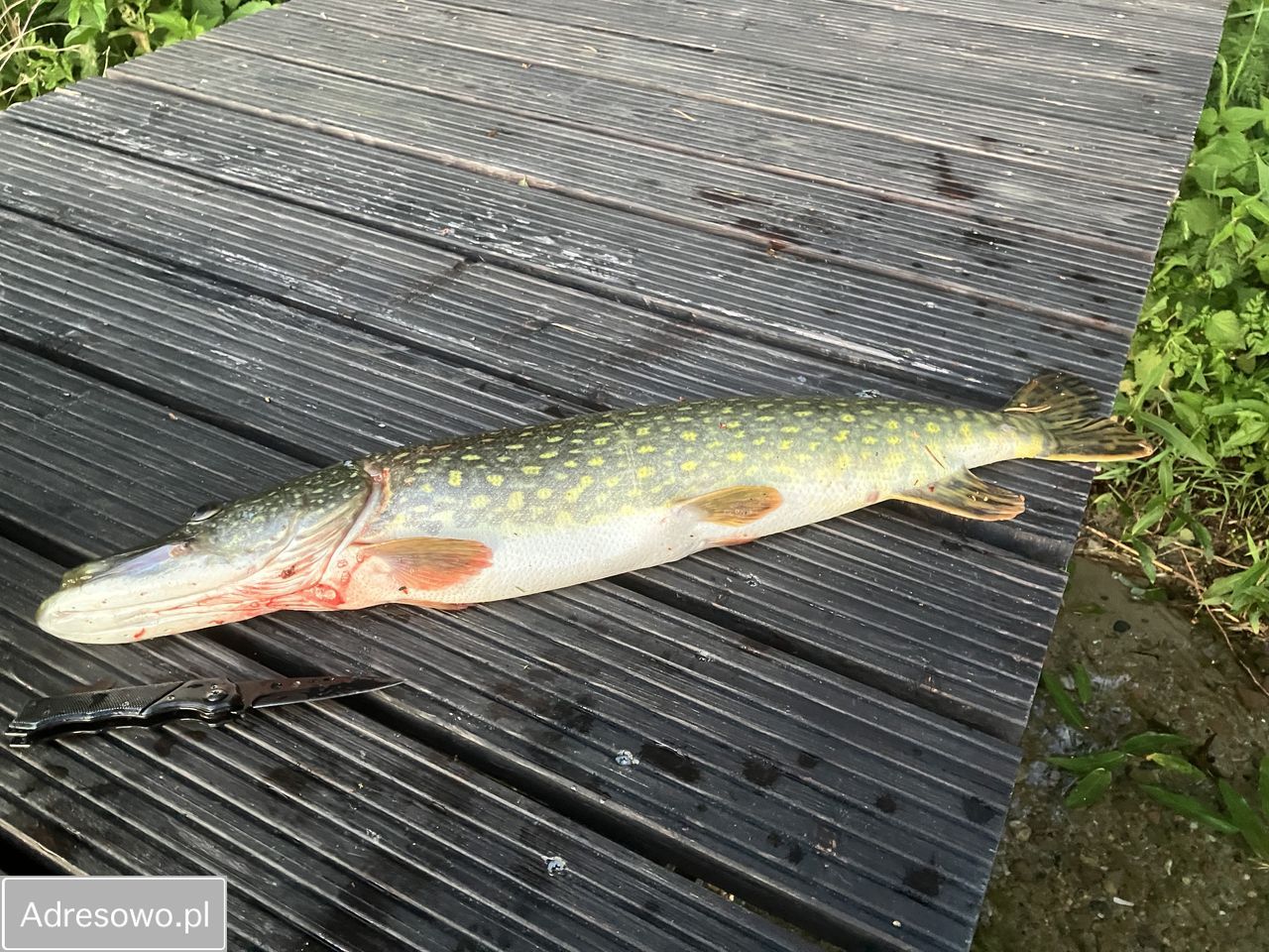 dom wolnostojący, 3 pokoje Borowy Młyn, ul. Jeziorna. Zdjęcie 17