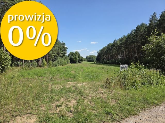 Działka Solniki. Zdjęcie 2