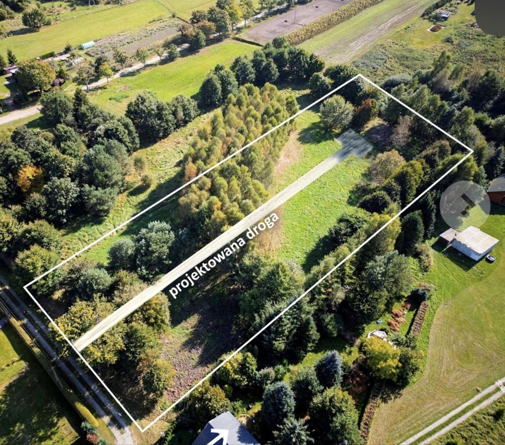 Działka budowlana Kowalewice. Zdjęcie 2