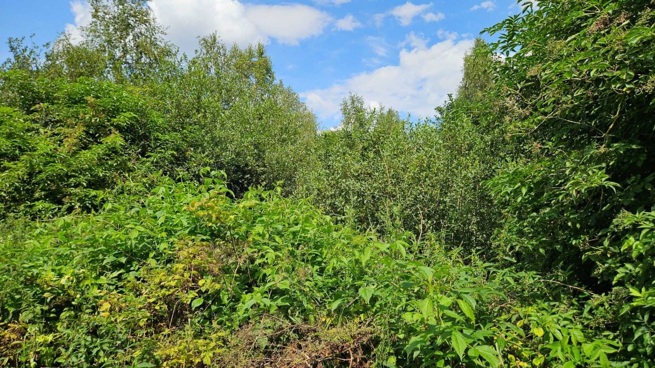 Działka rolna Golice