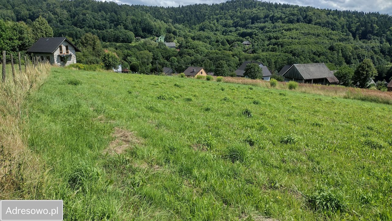 Działka rolno-budowlana Zachełmna