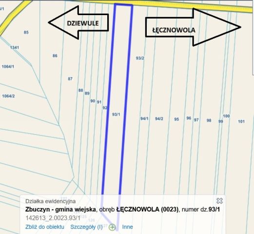 Działka rolna Łęcznowola. Zdjęcie 1