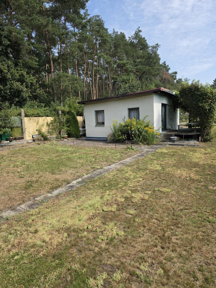 Działka rod Bartoszewo. Zdjęcie 3