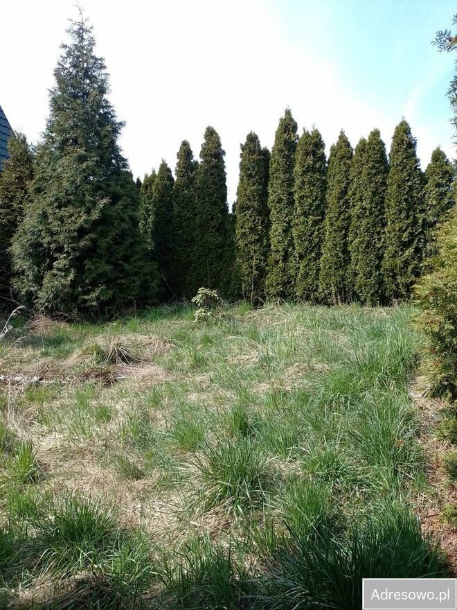 dom wolnostojący, 2 pokoje Grabówka, ul. Bordynowska. Zdjęcie 2