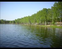 Działka rolno-budowlana Rogóźno. Zdjęcie 3