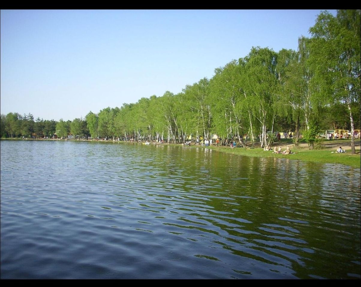 Działka rolno-budowlana Rogóźno. Zdjęcie 4