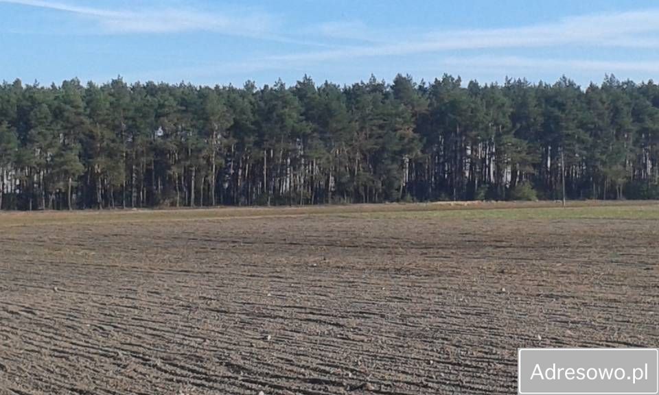 Działka leśna Bliżyce. Zdjęcie 5