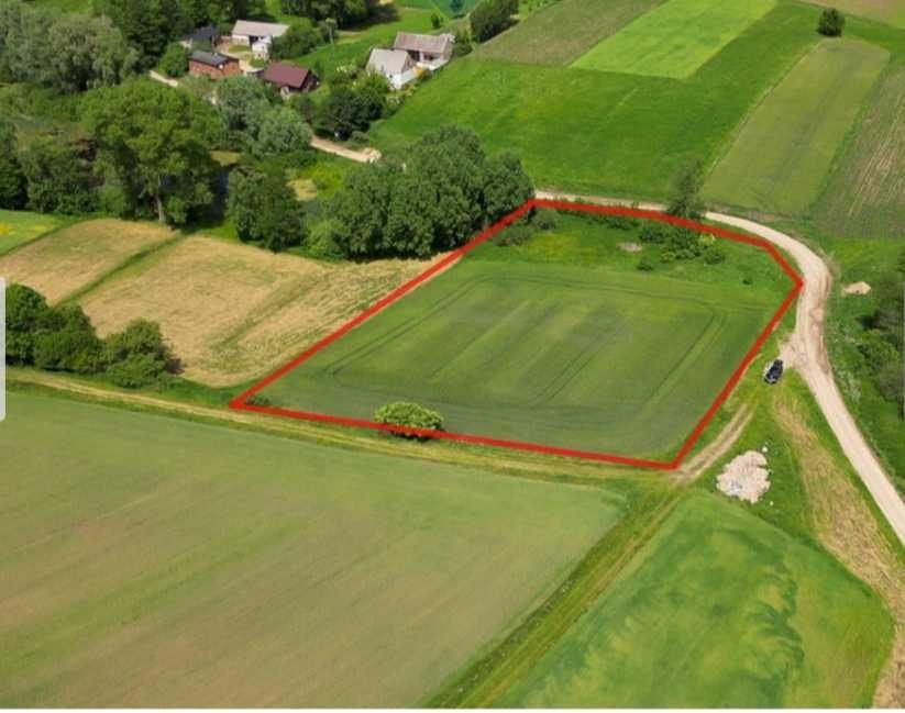 Działka rolna Naguszewo. Zdjęcie 2