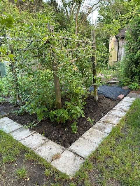 Działka rod Wrocław Krzyki. Zdjęcie 5