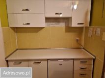 Działka rod Ciechocinek, ul. Cypriana Kamila Norwida. Zdjęcie 2