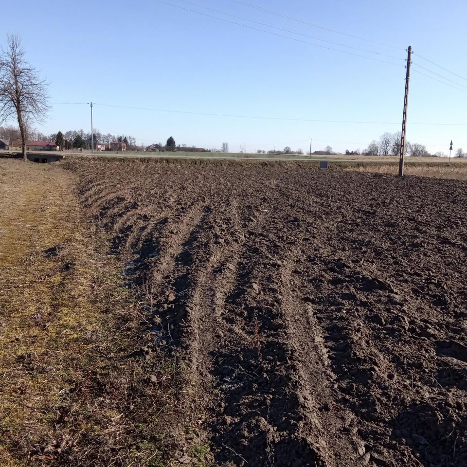 Działka rolno-budowlana Helenów. Zdjęcie 8