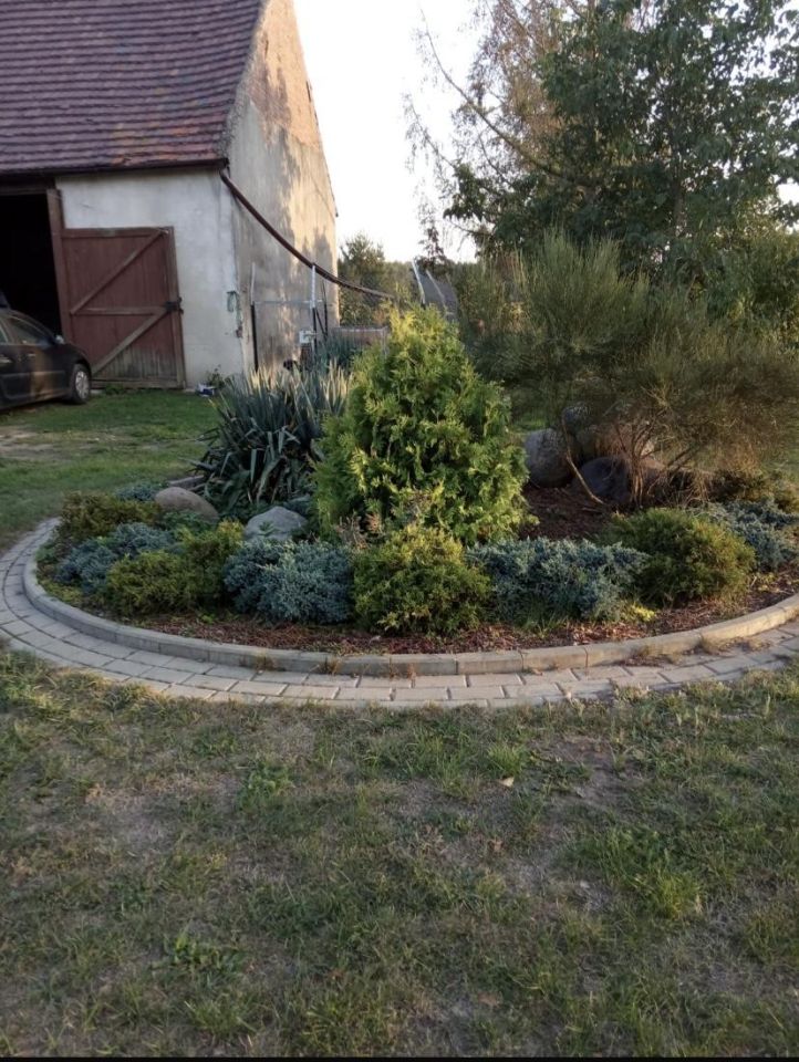 dom wolnostojący, 7 pokoi Ziębikowo. Zdjęcie 7