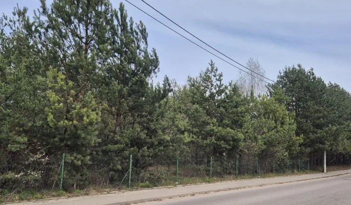 Działka rolna Stanisławowo, ul. Słonecznikowa