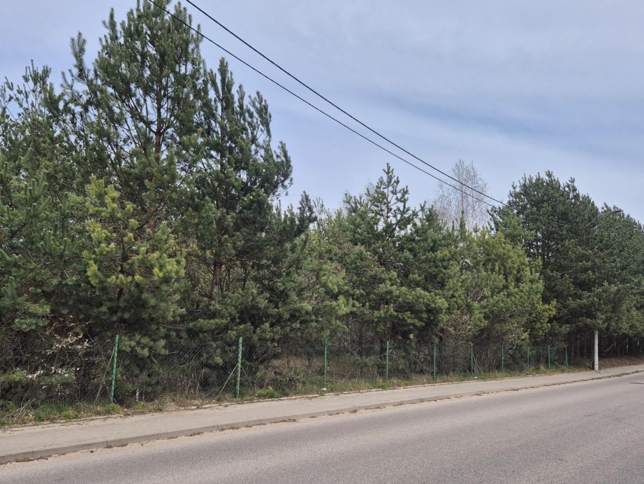 Działka rolna Stanisławowo, ul. Słonecznikowa. Zdjęcie 1